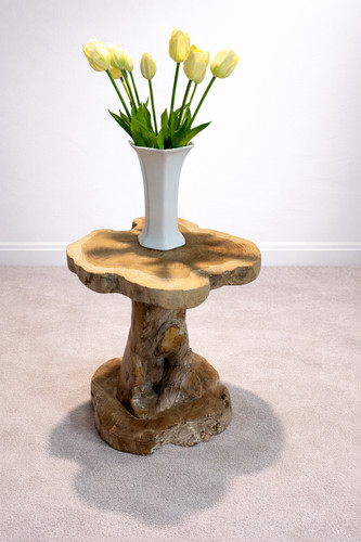 Solid teak root - teak,